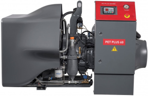 pet-plus-2_60